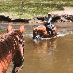 Meet your Posher, Jodi